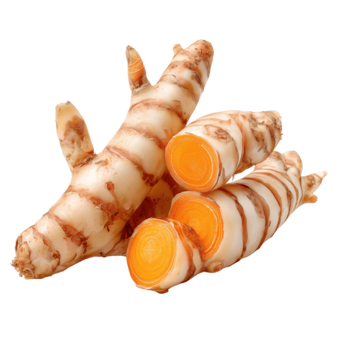 FRESH GALANGA